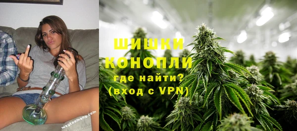 мет Арсеньев